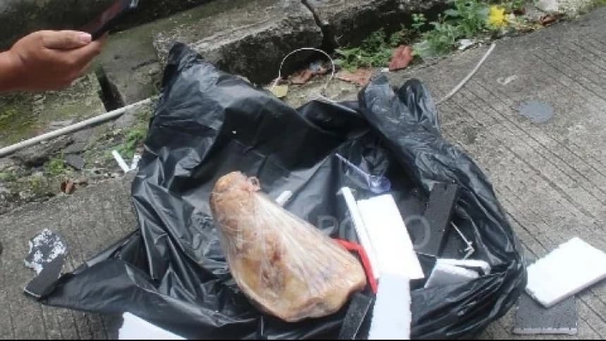 Tempo Dikirimi Kepala Babi Tanpa Telinga, Diduga Teror terhadap Kebebasan Pers