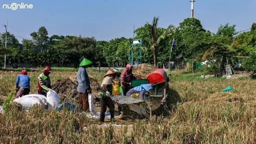 Setahun Prabowo-Gibran: Menata Reforma Agraria di Tengah Dominasi Oligarki Lahan
