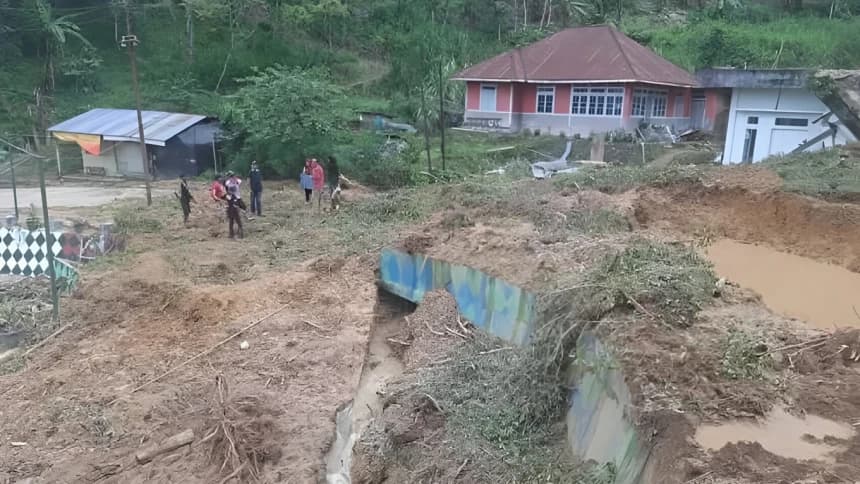Walhi Minta Negara Pulihkan Kerusakan Ekologis di Sumatra, Tak Cukup Hanya Cabut Izin Pemanfaatan Hutan