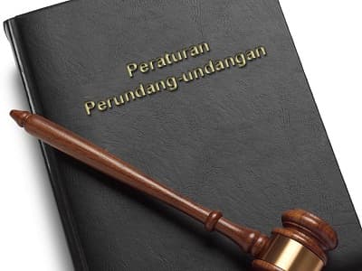 Hambat Bantuan, Pemerintah Diminta Revisi UU Pemerintahan Daerah