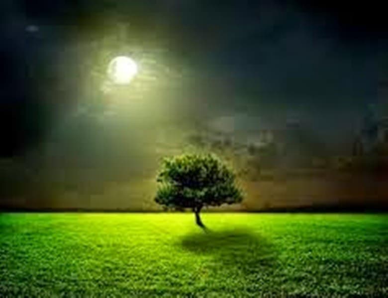 Ini Asal-usul Puasa Hari-hari Putih (Ayyamul Bidh)?