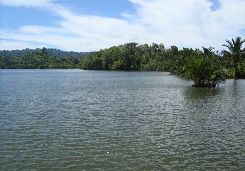 Danau Penuh Buaya