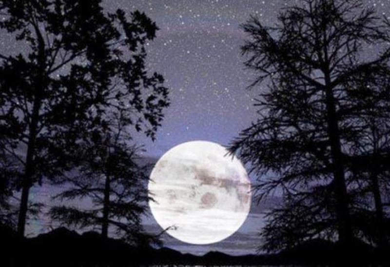 Benarkah Isra dan Miraj Terjadi pada Bulan Rajab?