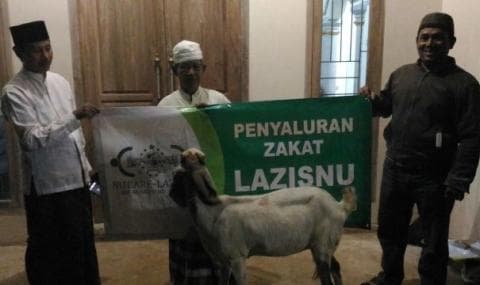 Berdayakan Zakat Produktif, LAZISNU Pringsewu Salurkan Kambing Ternak