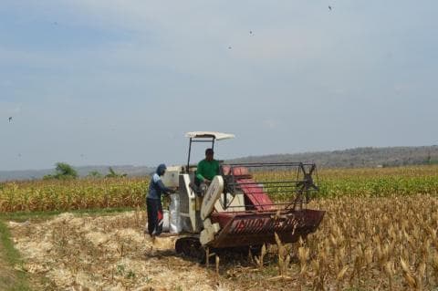 Petani Hortikultura Cianjur Nilai Rembug Petani-Peternak di Jakarta Tidak Relevan