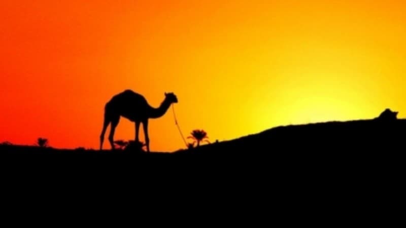 Teladan Kejujuran Rasulullah