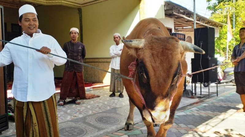 Pengusaha di Surabaya Serahkan Hewan Kurban Pemenang Kontes