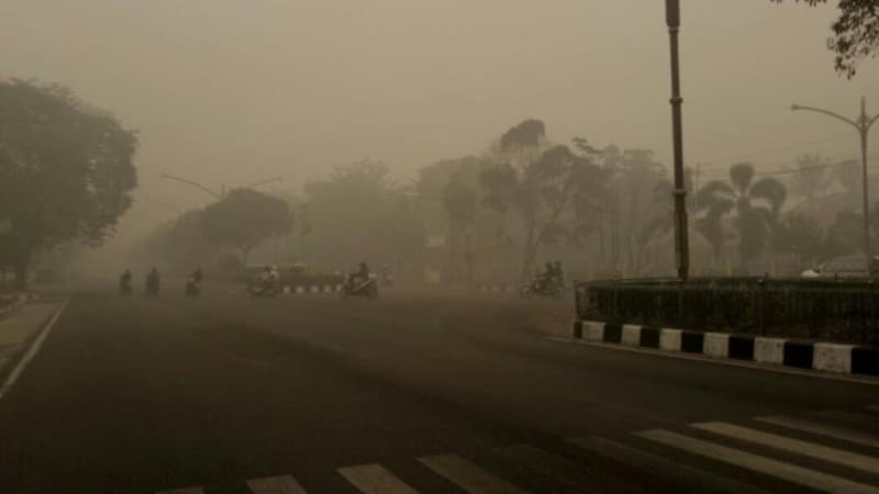 Pelajar NU Kalimantan dan Riau Desak Pemerintah Segera Tangani Kebakaran