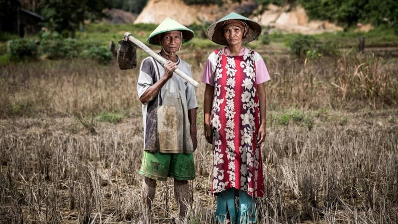 Matur Suwun Pak Tani