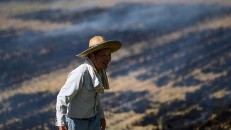 Cara Jepang Menarik Minat Pemuda untuk Bertani