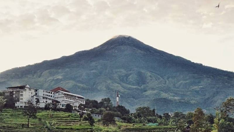 Jejaring Bisnis ala Pesantren Riyadlul Jannah Mojokerto