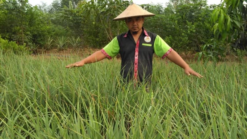 Kembangkan Pertanian Organik, Cak Fyan: Kebaikannya Kembali ke Kita