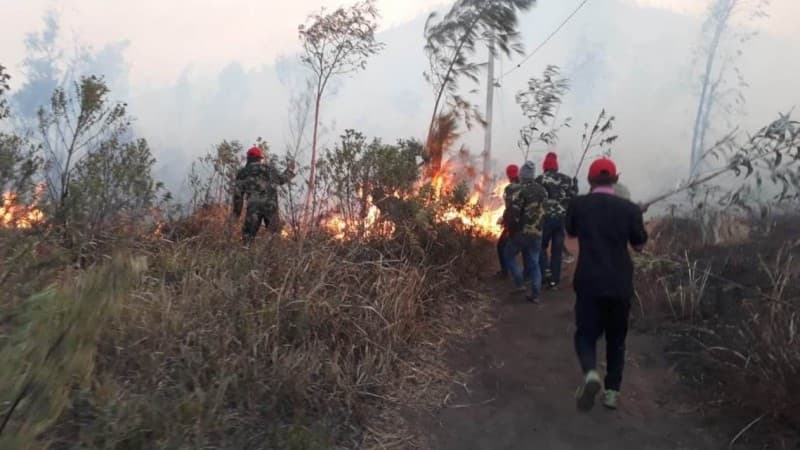 Cara Banser Padamkan Kebakaran di Kawah Ijen