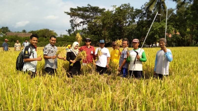 Obsesi Mahasiswa Pascasarjana Unej, Indonesia Swasembada Pangan