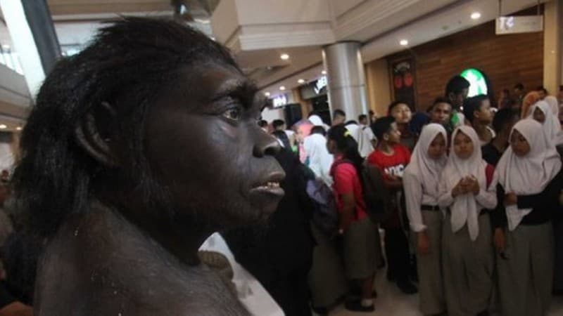 Fosil Manusia Purba