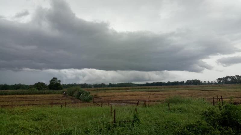 Wakil Rais NU Jateng: Hujan adalah Rahmat yang Luar Biasa