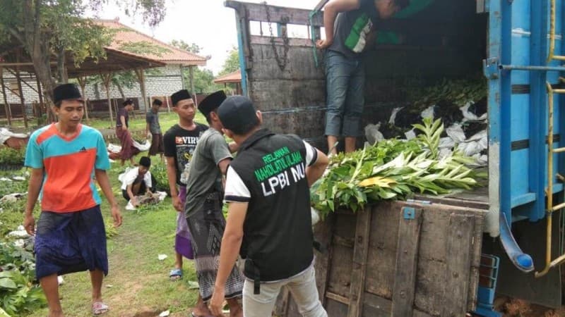 LPBINU Sampang Siapkan 8.500 Bibit untuk Pelestarian Lingkungan