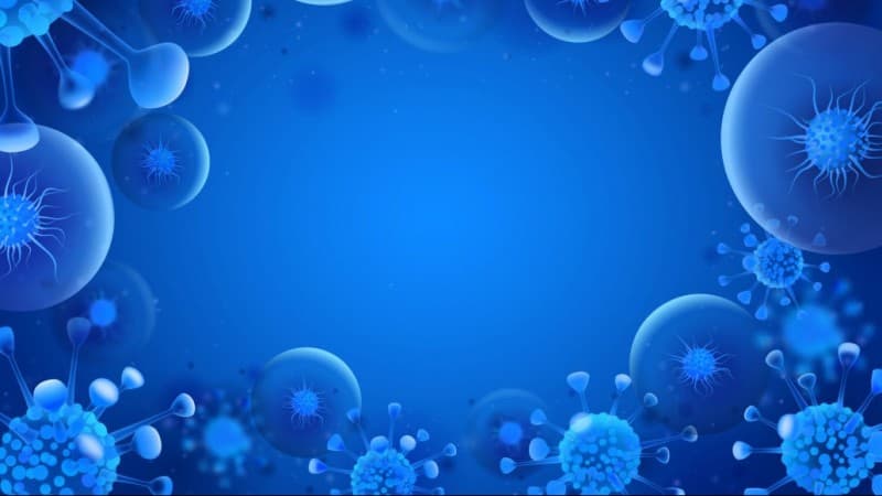 Hal-hal yang Perlu Anda Ketahui tentang Virus Corona