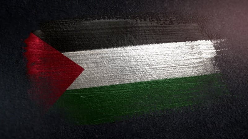 Respons Rencana Timur Tengah Trump, OKI Gelar Pertemuan Darurat