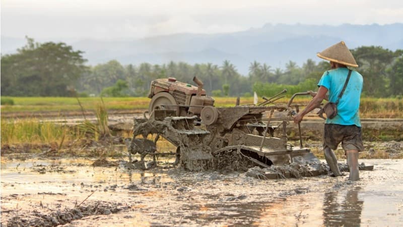 Covid-19, GP Ansor Desak Pemerintah Beri Insentif Petani