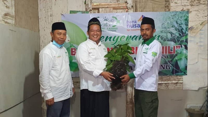 Tingkatkan Ekonomi Warga, LAZISNU Kendal Beri Bantuan Bibit Vanili