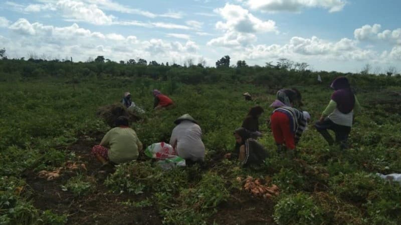 BRG Diskusikan Peran Perempuan Menjaga Lahan Gambut