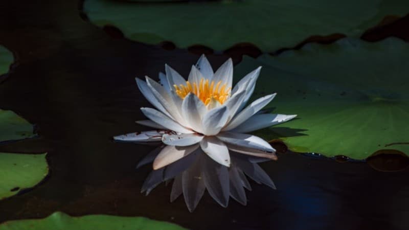 Tiga Langkah Berubah Lebih Baik