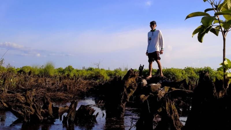 Ikuti Diskusi Daring 'Literasi Perlindungan Gambut' Senin Besok