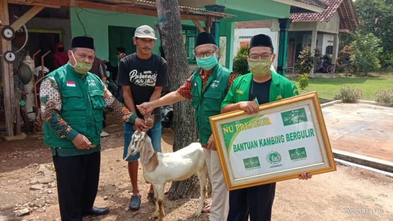 Kambing Gulir, Cara NU Metro Perkuat Ekonomi Warganya