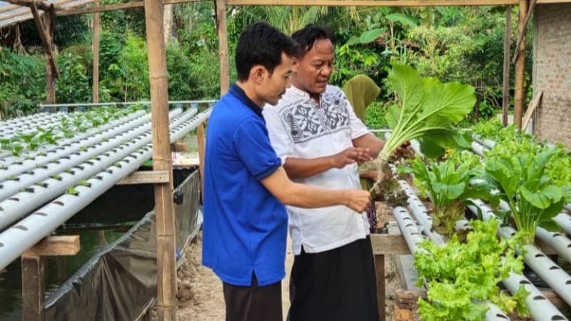 Jaga Ketahanan Pangan dengan Bercocok Tanam Sayuran Hidroponik