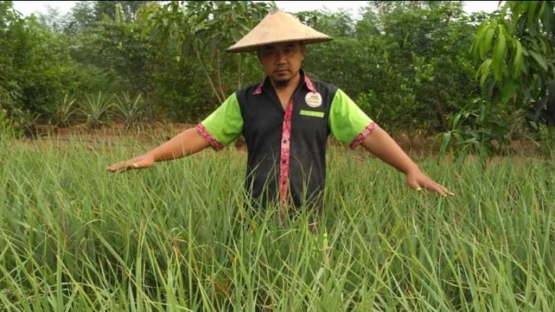 Tujuh Strategi Jadikan Pesantren Garda Terdepan Kedaulatan Pangan