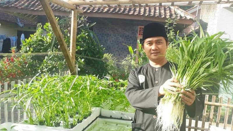 Perkuat Pertanian, NU Subang Kembangkan Tanaman Hidroponik