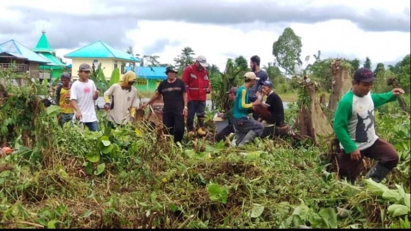 Nahdliyin Mimika Sambut New Normal dengan Kerja Bakti di Lahan Pesantren