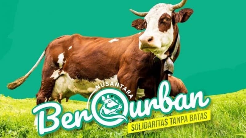 Bintang Teodjoe Kurban Sapi Limosin Melalui NU Care-LAZISNU