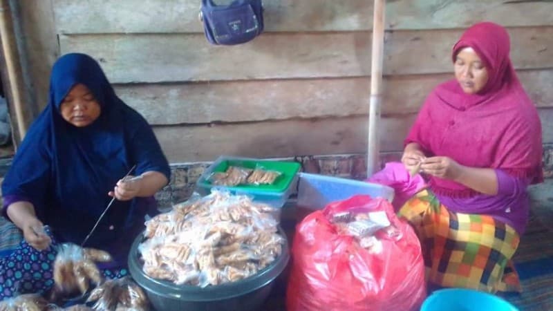 BRG Latih Pelaku UMKM dan BUMDes Gambut Pasarkan Produk lewat Digital