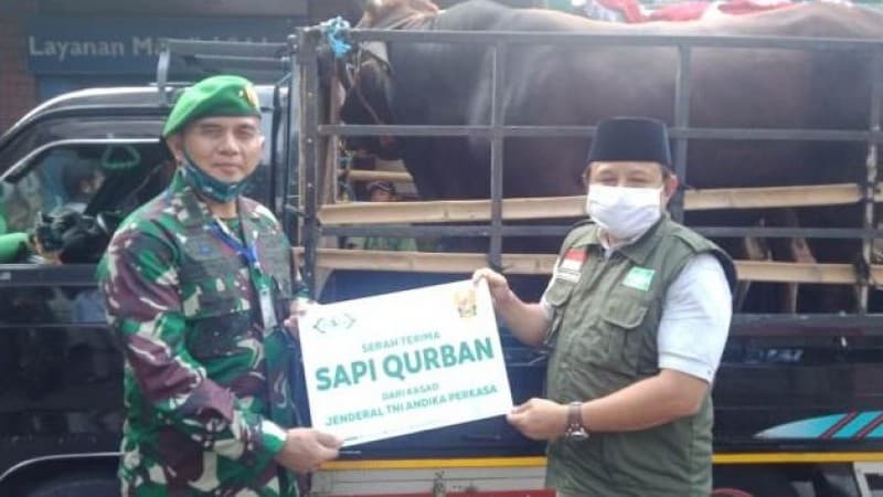 TNI AD Kurban 2 Ekor Sapi Limosin melalui NU Care-LAZISNU