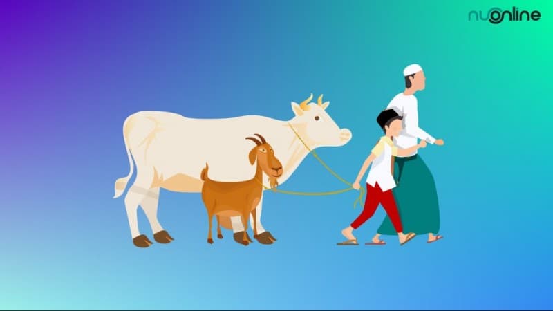 LAZISNU Jelaskan Protokol Penyembelihan Hewan Kurban di Tengah Pandemi