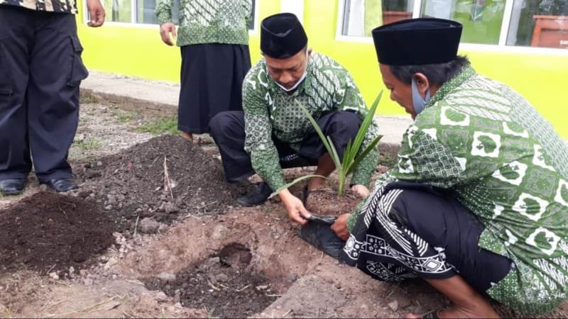 Penanaman 6 Batang Kurma Tropika, Tandai Hari Santri Ke-6 PCNU Pringsewu