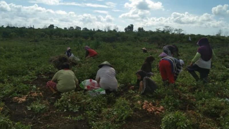 Soal Ekonomi Pancasila, Rais Aam PBNU: Islam Menjamin Kehidupan Masyarakat Miskin