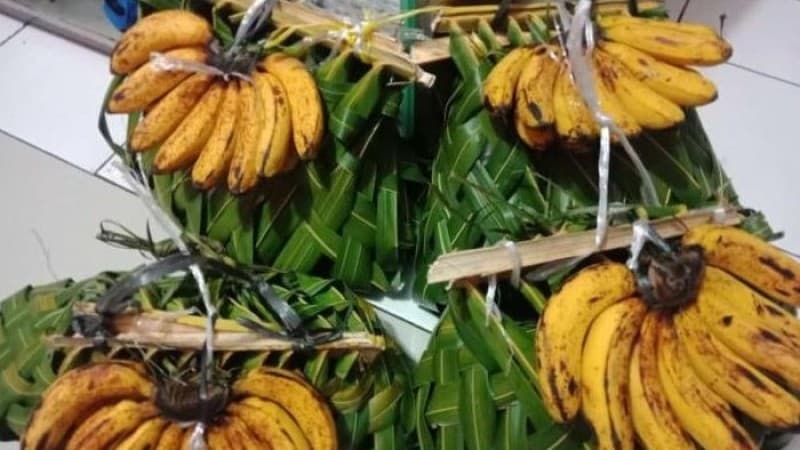 Membangkitkan Kembali Tradisi 'Bagi Kisa' dalam Perayaan Maulid Nabi