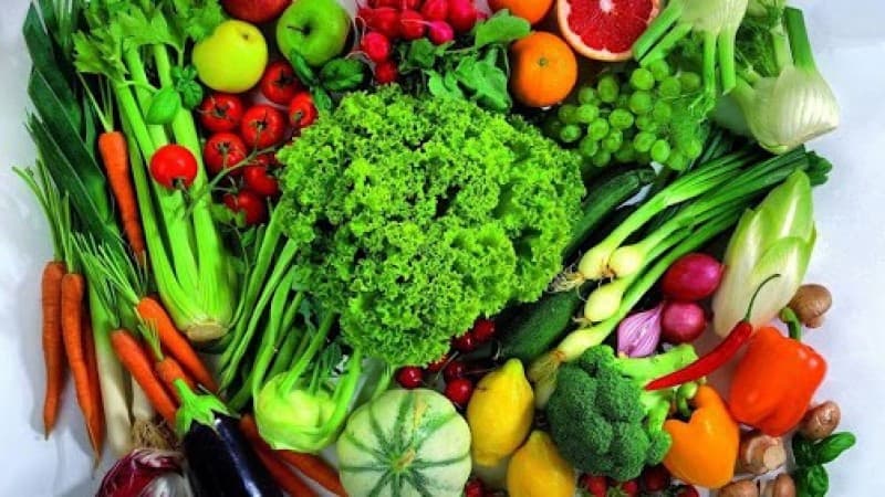 Pangan Nabati Dapat Tingkatkan Imunitas Tubuh