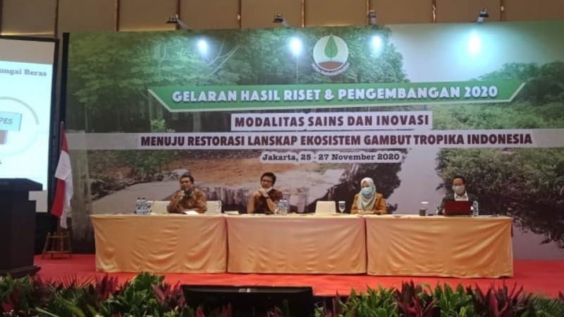 BRG Deteksi Bulan Basah dan Kering di Lahan Gambut