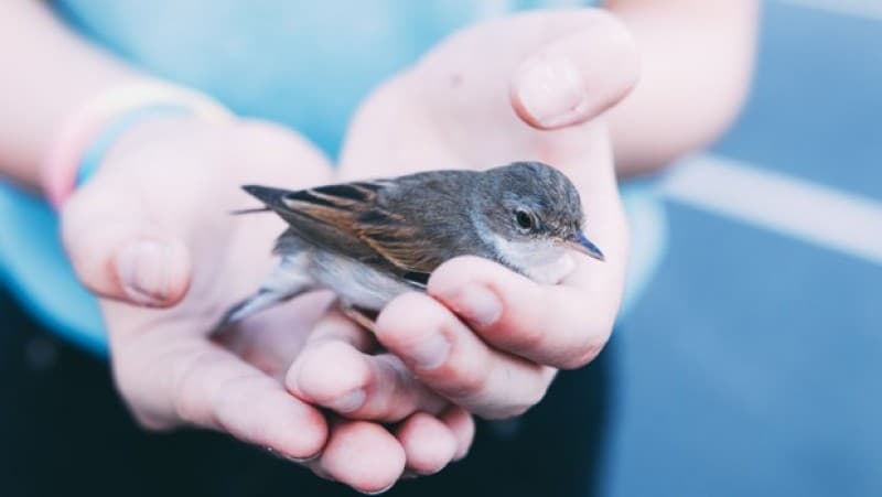 Khutbah Jumat: Allah Sembunyikan 3 Perkara dalam 3 Perkara