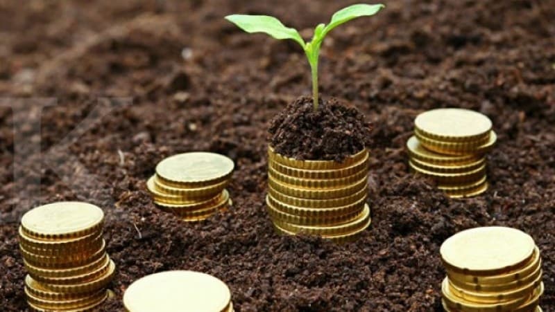 Wakaf Uang untuk Kesejahteraan Masyarakat