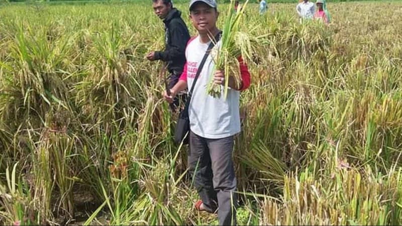 Pembatasan Pupuk Bersubsidi Makin Sengsarakan Petani