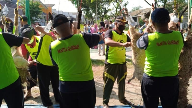 Arisan Kurban Apakah Termasuk Kurban Nazar?