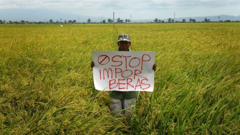 Akademisi: Indonesia Surplus Beras