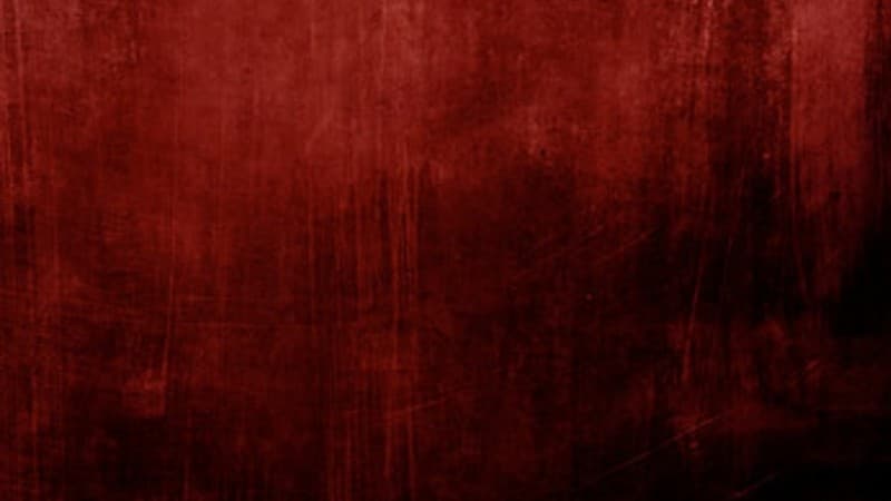 Sastra dan Teror Imajinasi