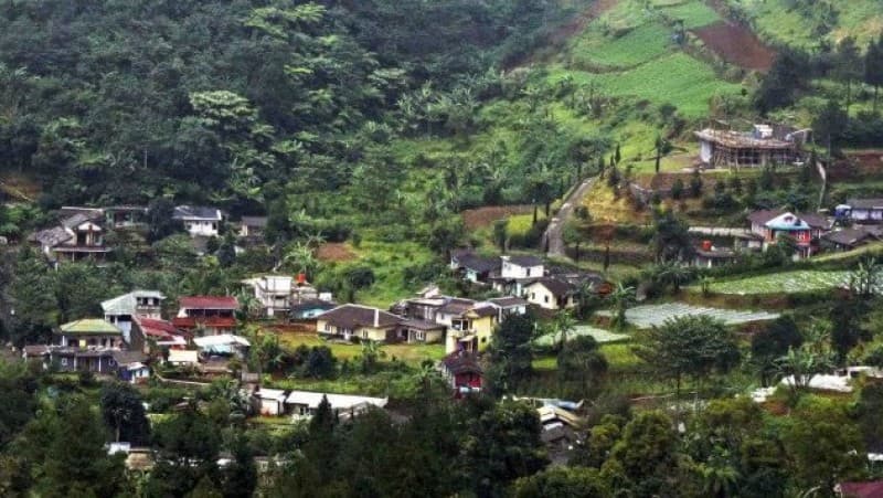 Fatayat NU Bogor Soroti Kawin Kontrak di Puncak yang Tak Kunjung Usai