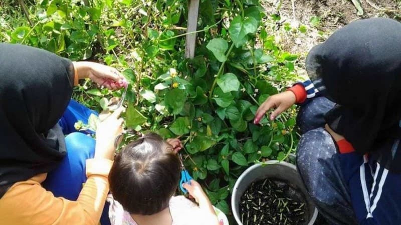 Pesantren At-Thaariq Garut Pulihkan Ekonomi dan Lingkungan dengan Agroekologi